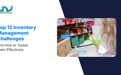 Top 12 Inventory Management Challenges and How to Tackle them Effectively