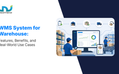 WMS System for Warehouse: Features, Benefits, and Real-World Use Cases