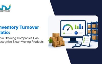 Inventory Turnover Ratio: How Growing Companies Can Recognize Slow-Moving Products