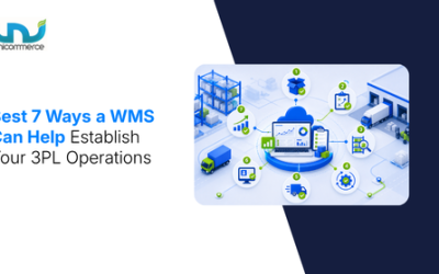 Best 7 Ways a WMS Can Help Establish Your 3PL Operations