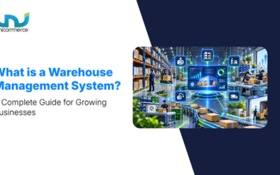 What is a Warehouse Management System? A Complete Guide for Growing Businesses