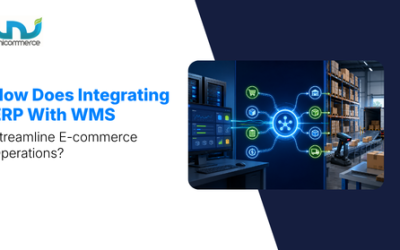 How Does Integrating ERP With WMS Streamline E-commerce Operations?