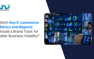 Which Key E-commerce Metrics and Reports Should a Brand Track for Better Business Visibility?