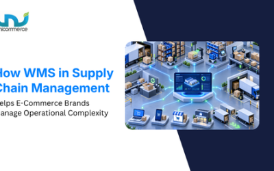 How WMS in supply chain management helps e-commerce brands manage operational complexity