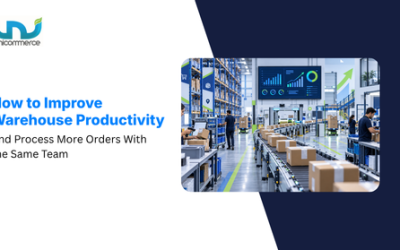 How to Improve Warehouse Productivity and Process More Orders With the Same Team?